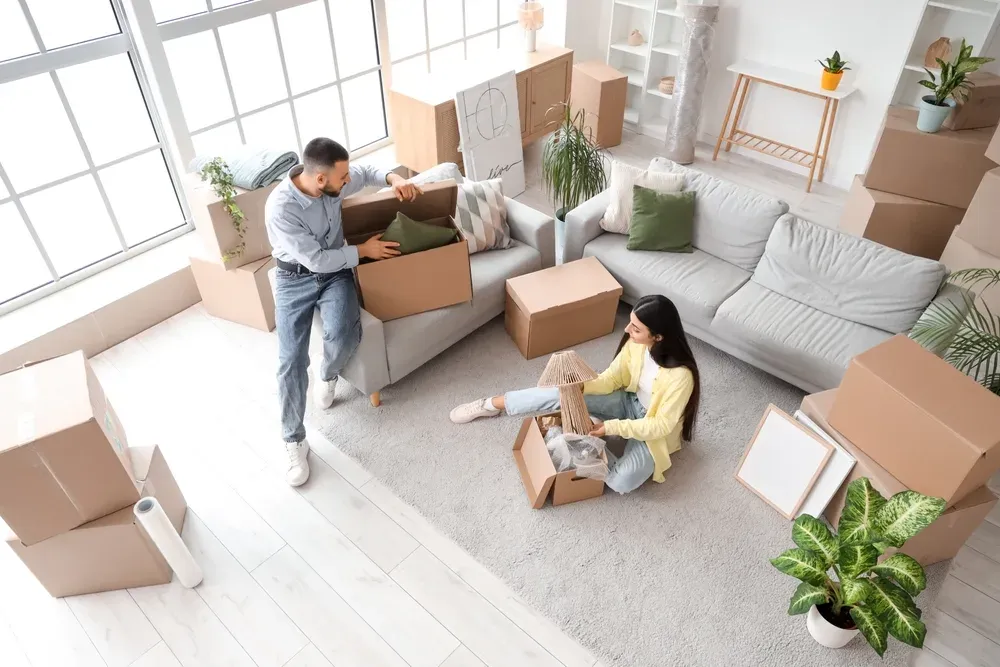Removalists in Rosebud