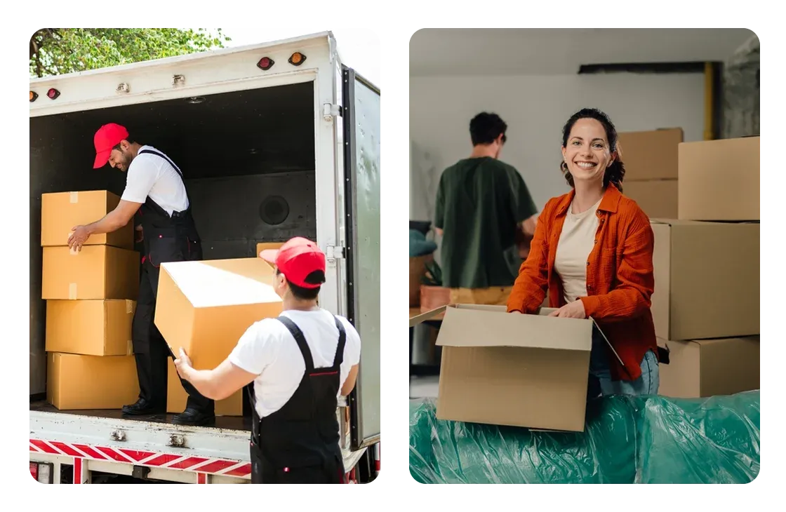 Removalists in Bittern