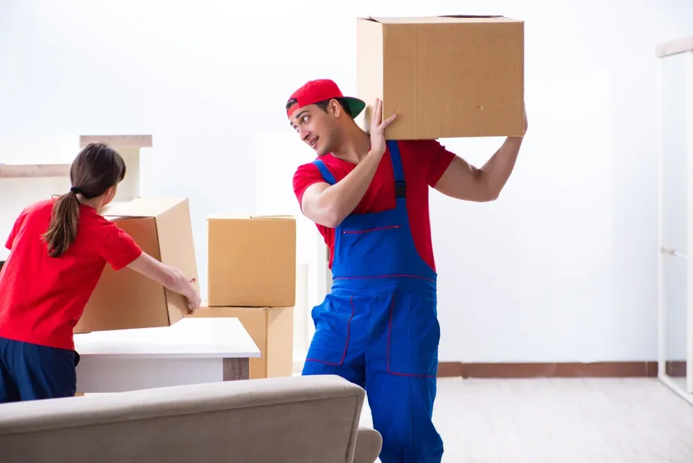 Removalists in Werribee