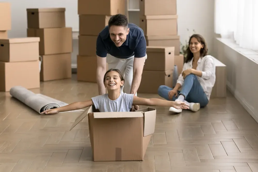 Removalists in Rye