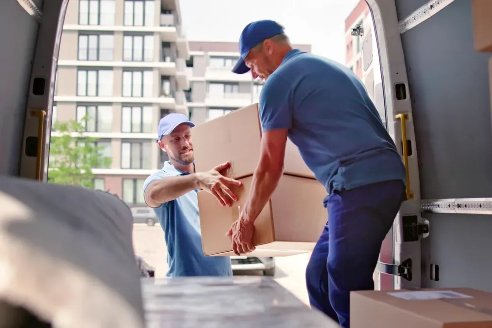Removalists in Clyde
