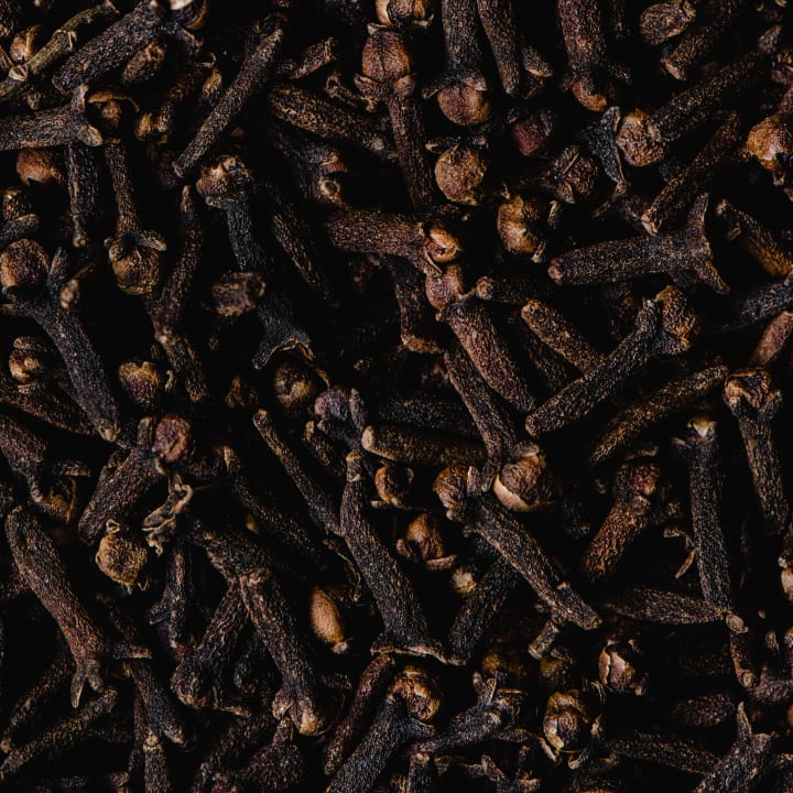 Close-up of dried clove flower buds