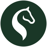 Equine Web Solutions Logo