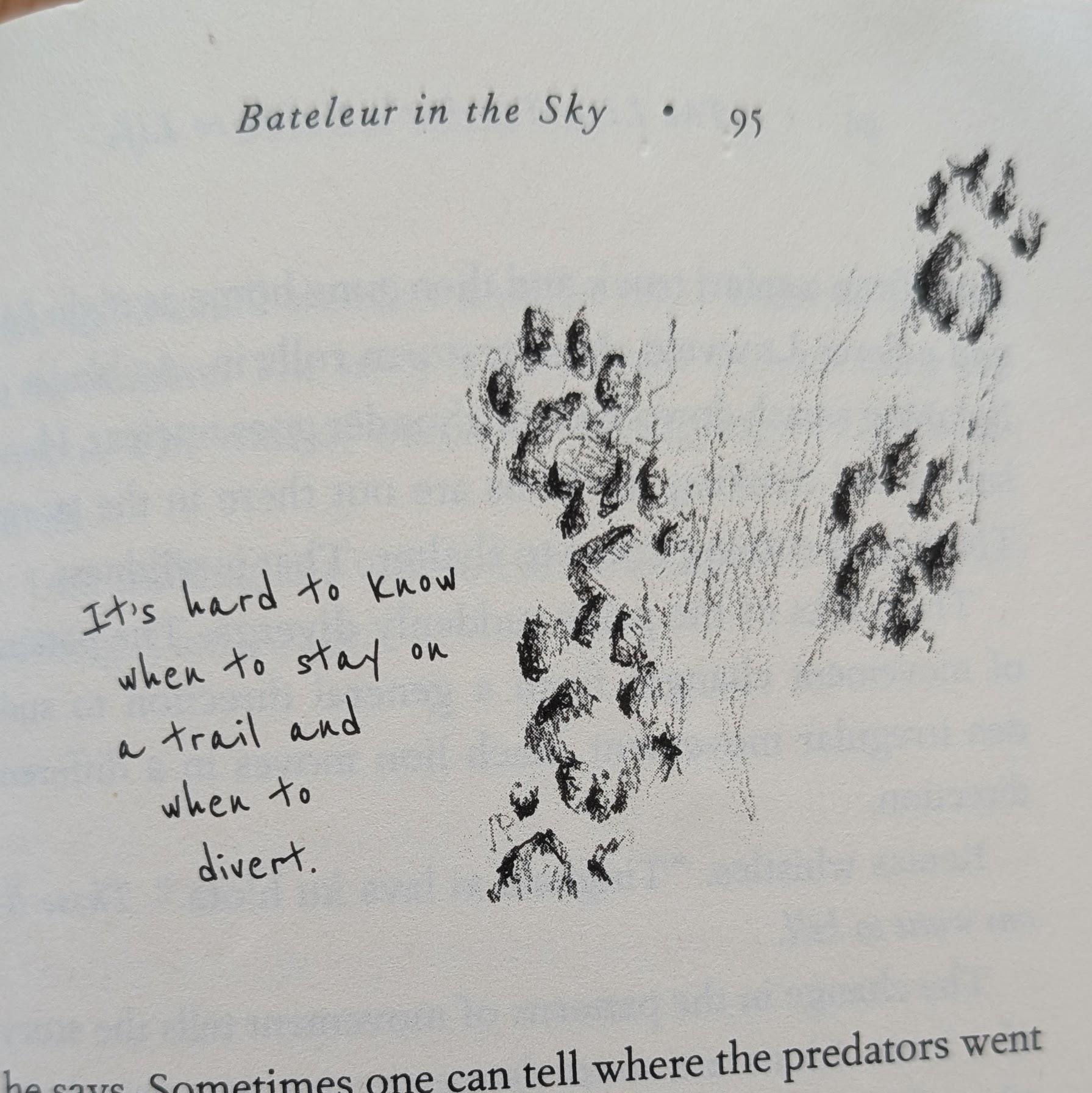 Quote from The Lion Tracker's Guide to Life