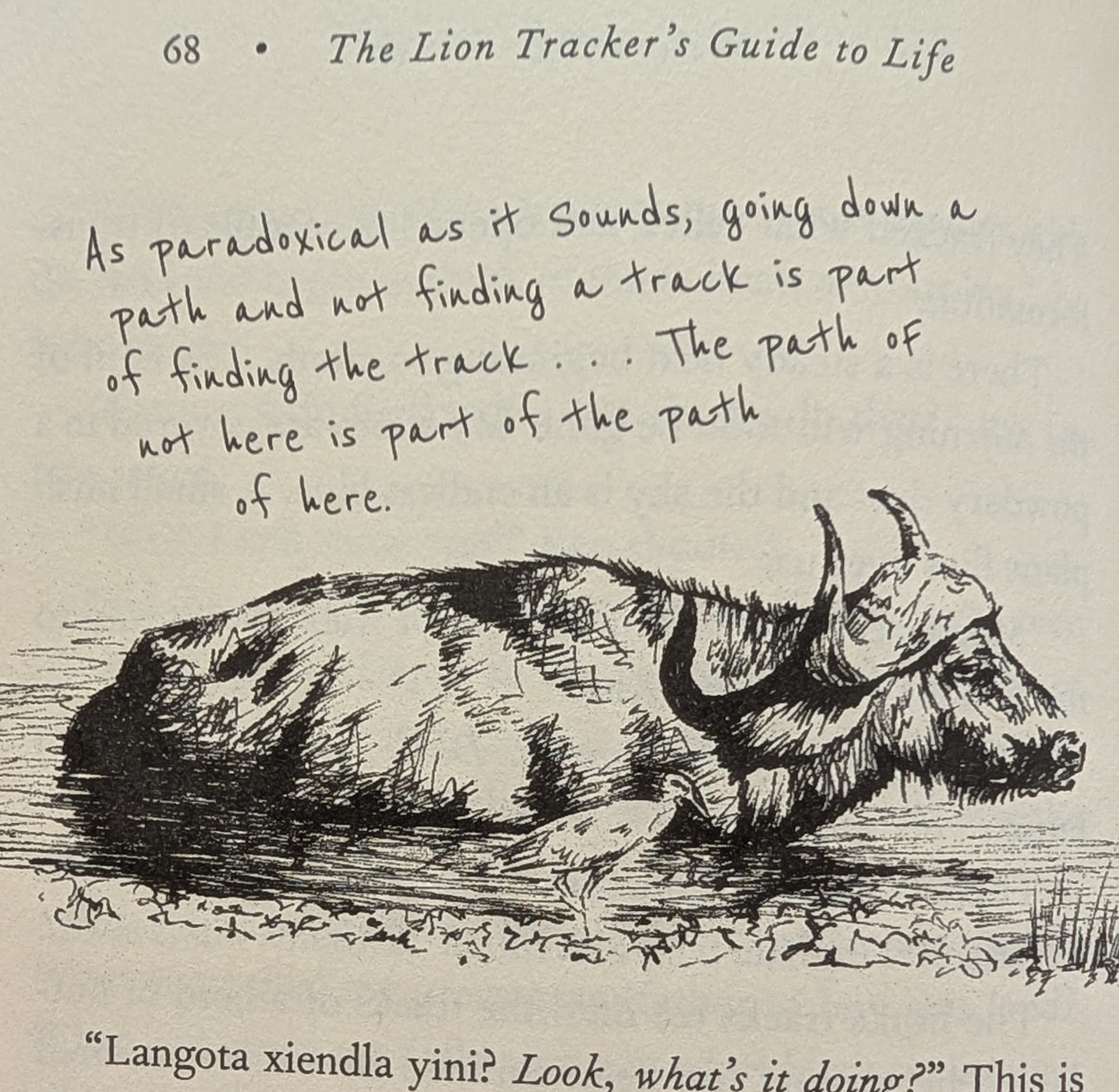 Quote from The Lion Tracker's Guide to Life