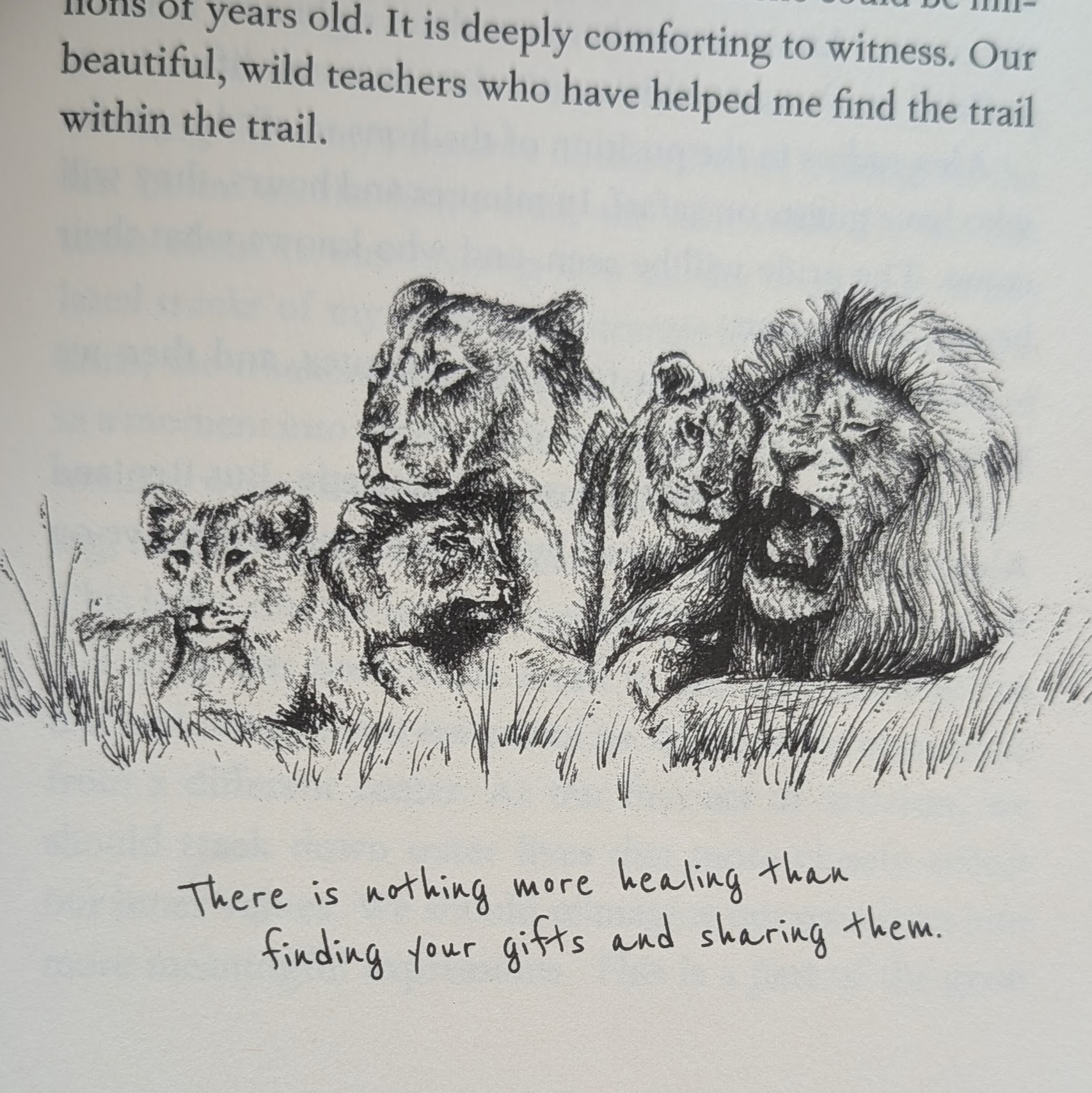 Quote from The Lion Tracker's Guide to Life