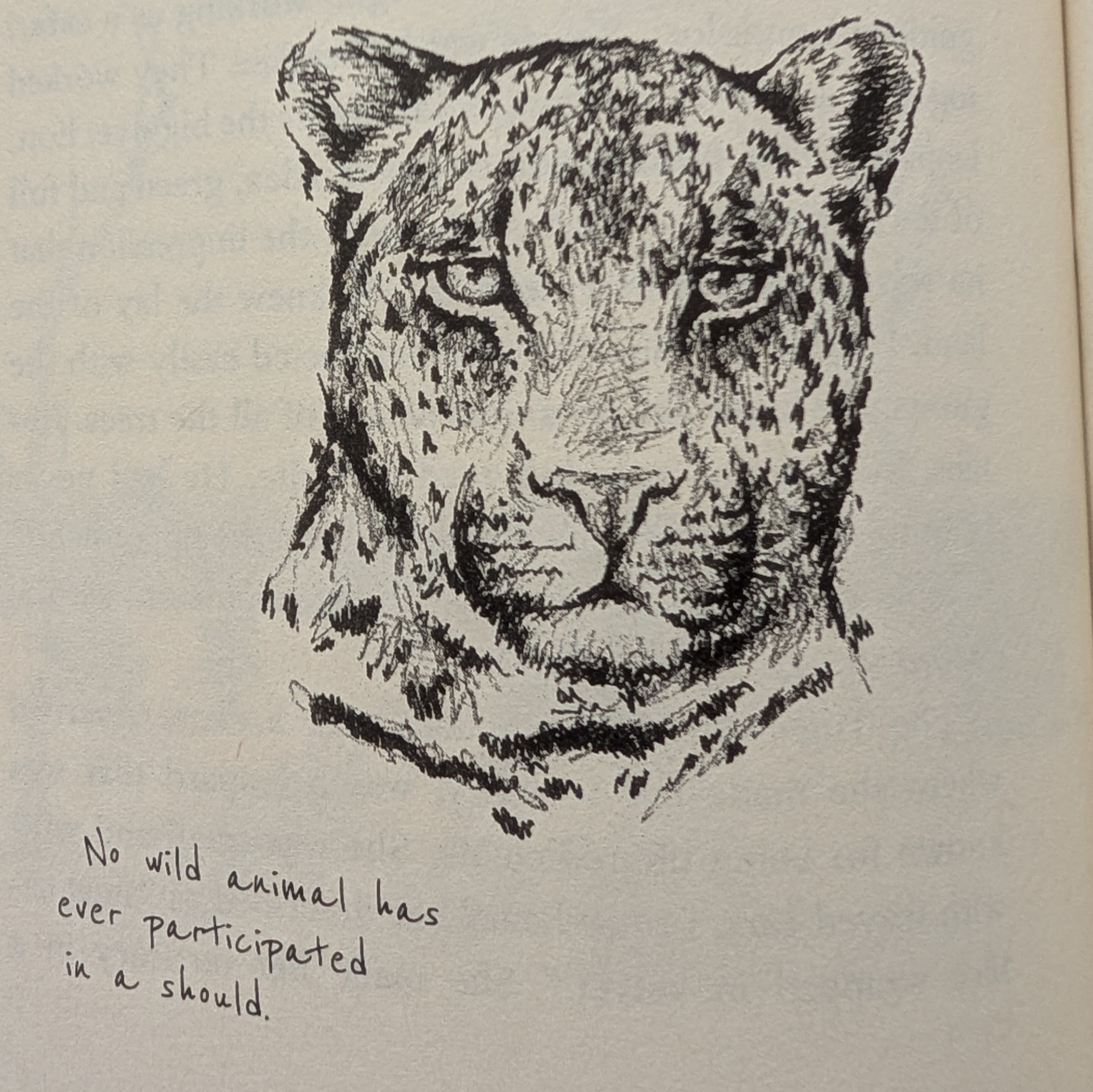 Quote from The Lion Tracker's Guide to Life