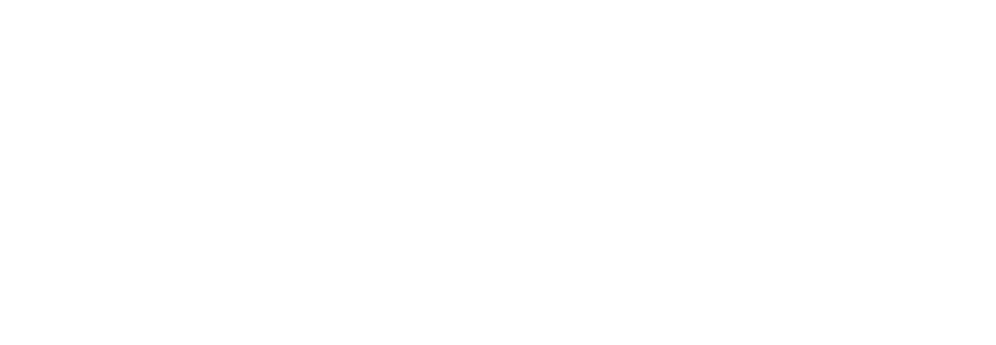 WordPress content management system logo