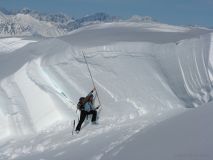 A little Alaskan reminder to stay safe.