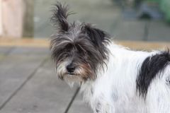 For those left behind .......