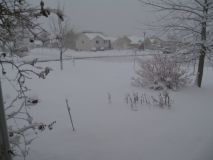 Re:Winter is back !
