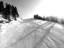 Black & White photos
