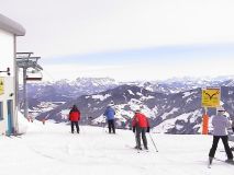 Re:The Niederau Experience