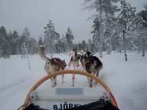 Re:Why is Lapland so cheap?