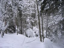 Best ski resort for non- skiers