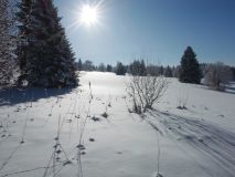 Nordic Cruising, Les Fourgs, France