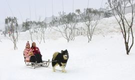 What to see In China Harbin Ice Festival?