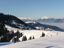 Re:reports from Niederau