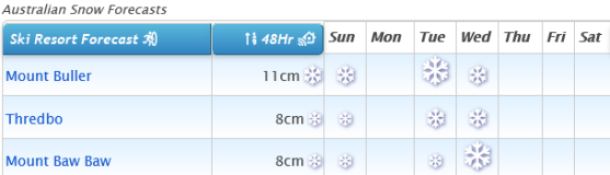 J2Ski Snow Report - August 1st 2021