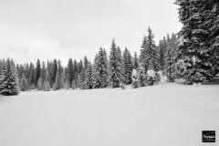 Fresh Weekend Snowfall in the Alps and Pyrenees