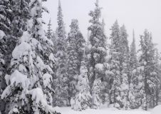 Significant Snowfall in the Dolomites At Last