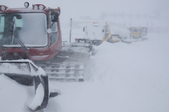 Big Snow Down Under