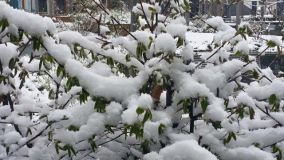 Snow Keeps Falling As Most Ski Areas Close
