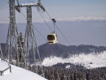 Ski Himalaya Cancel Gulmarg 2015 Trips Over Islamic State Fears 