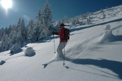 Big Snowfalls in the Alps