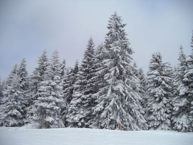 Kopaonik Snow Reports - February 2017