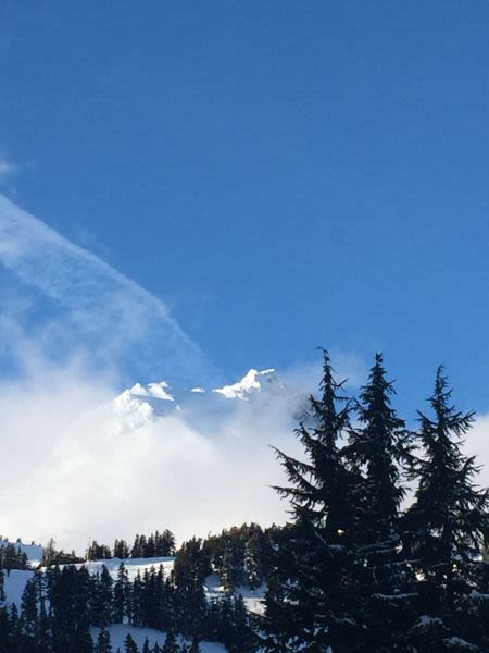 Mount Hood Meadows Snow Reports - January 2017