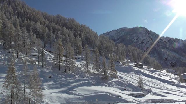 Gressoney la Trinité Snow Reports - November 2019