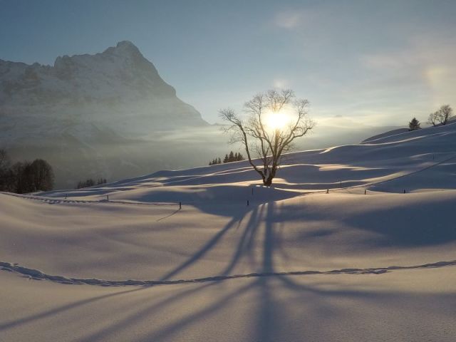 Grindelwald Snow Reports - January 2017