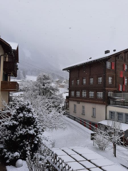 Wengen Snow Reports - February 2022