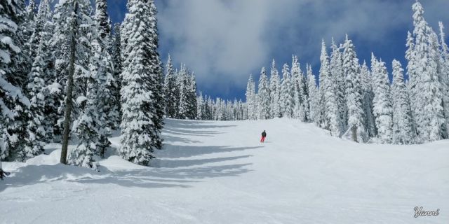 Big White Snow Reports - March 2024