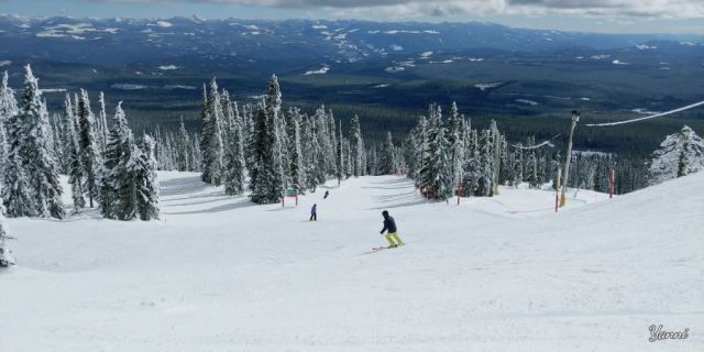 Big White Snow Reports - March 2024