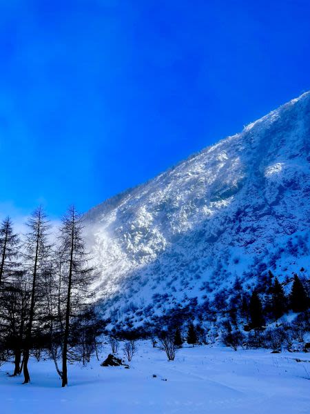 Argentière Snow Reports - December 2023