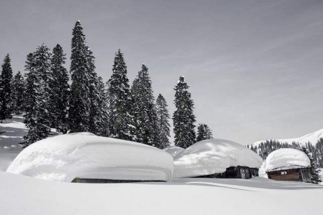 Goderdzi Snow Reports - February 2026