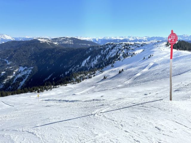 Saalbach Hinterglemm Snow Reports - February 2023