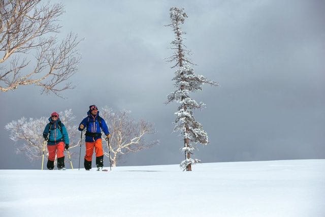 Henry’s Avalanche Talk - new FREE webinars and 2023 UK tour