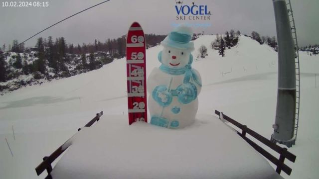 Vogel Snow Reports - February 2024
