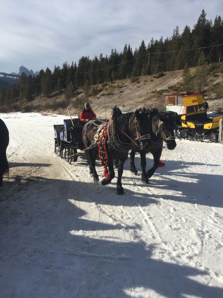 Corvara Snow Reports - February 2017