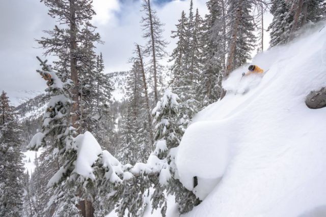 Big Snow in North America