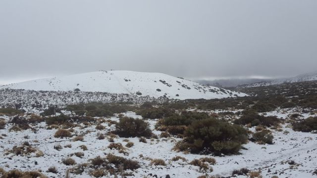 A White Christmas in the Canary Islands