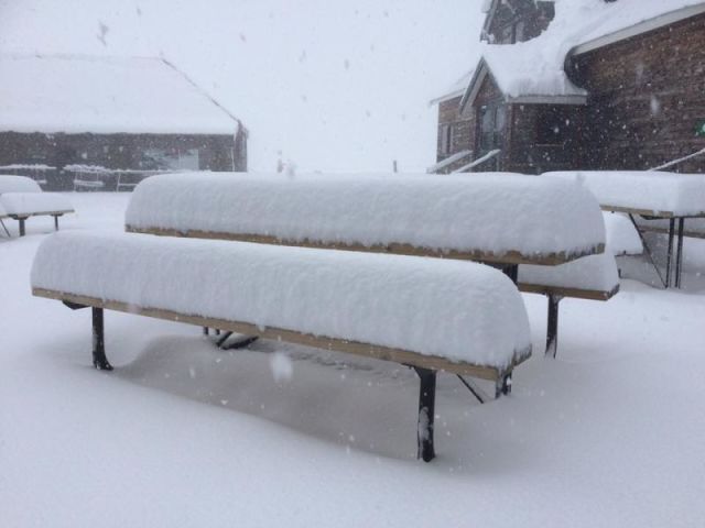 Big Summer Snowfall in New Zealand