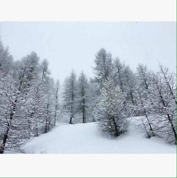 Up to 40cm of Fresh Snow Overnight in the Alps