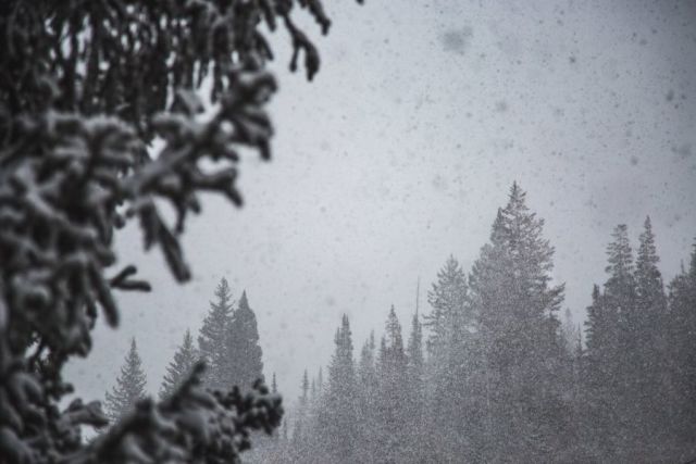 White Christmas in Colorado and Utah