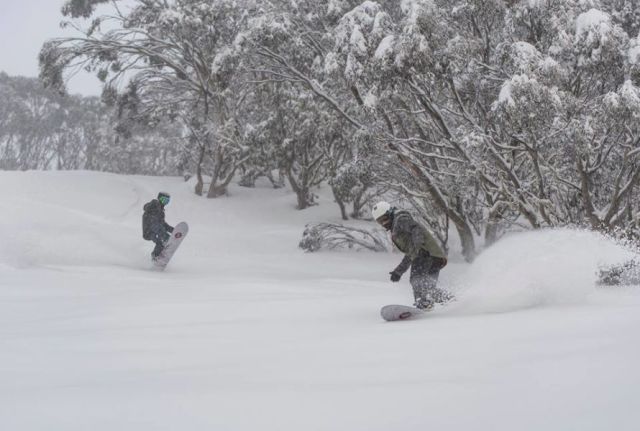Snow Bases in Australia Pass 1m Mark as Snow Keeps Dumping