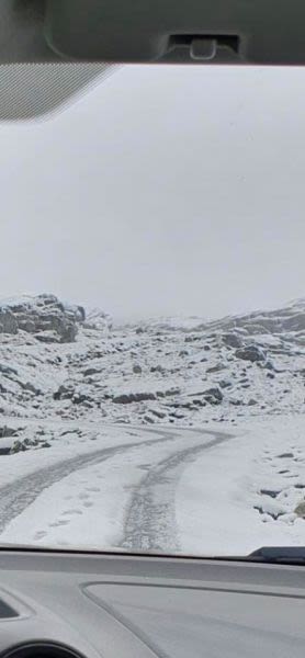 July Powder Alarm in Norway