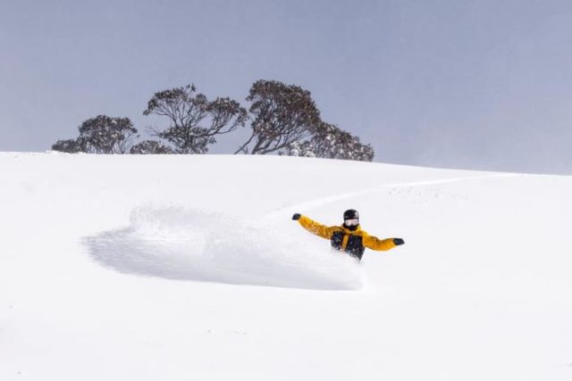 Another Half Metre of Snow on Australian Slopes